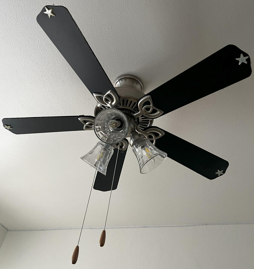 Ceiling Fan Replacement